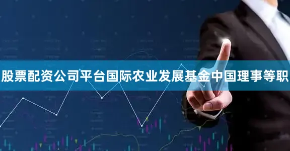 股票配资公司平台国际农业发展基金中国理事等职