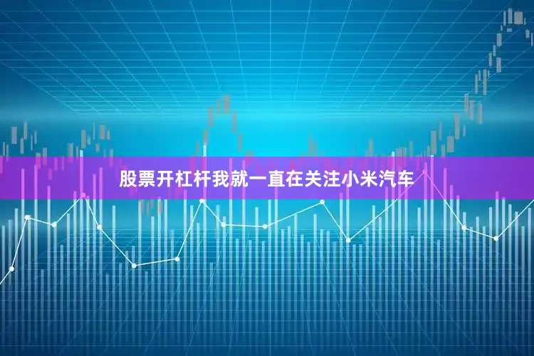 股票开杠杆我就一直在关注小米汽车