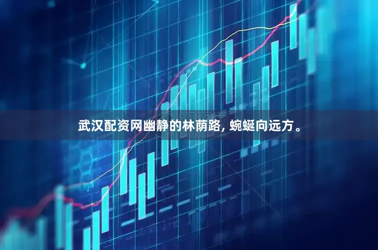 武汉配资网幽静的林荫路, 蜿蜒向远方。
