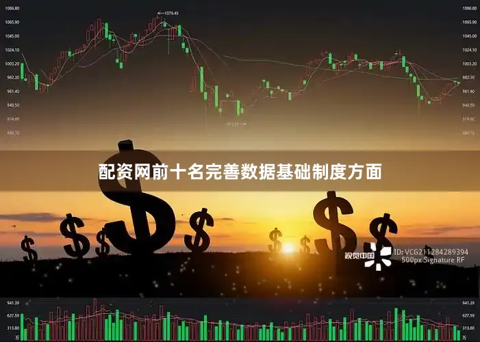 配资网前十名完善数据基础制度方面